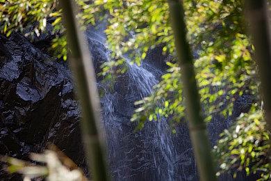 国外网友绘制“《往日不再》之痛 ”绘图 游戏工作室点赞